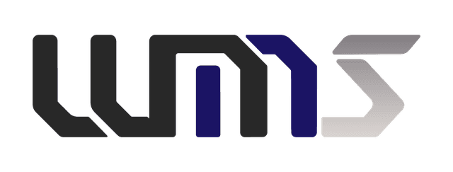 WMS Digital Development